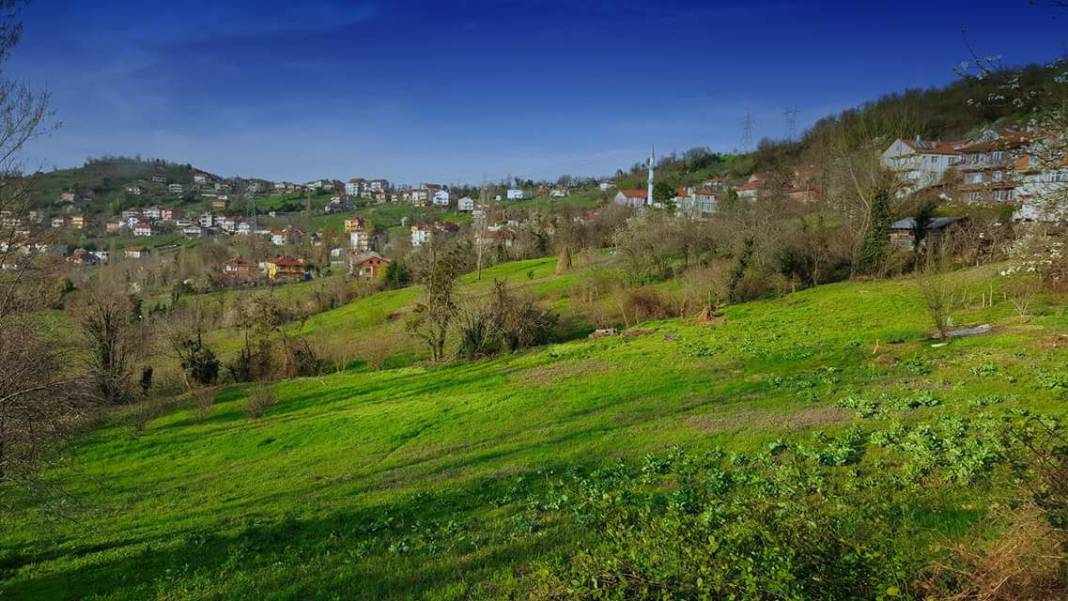 Kozlu Uzungüney Köyü Resimleri 2