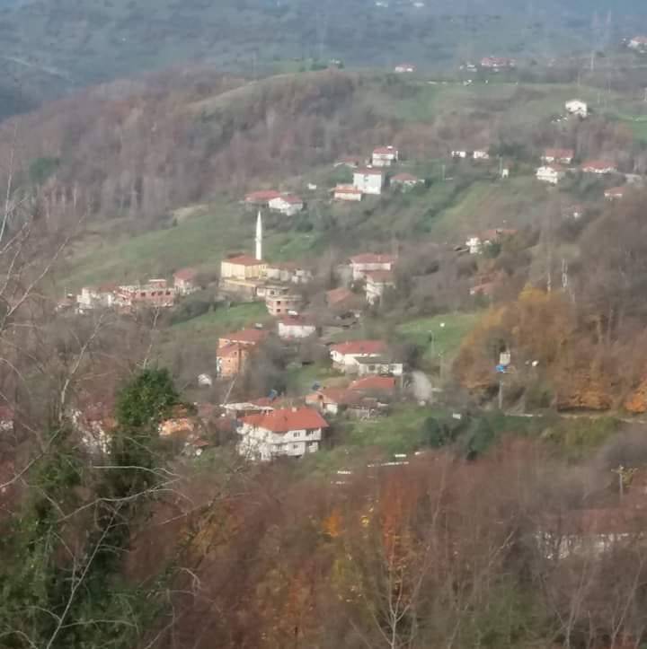 Kozlu Üçköy Köyü Resimleri 2