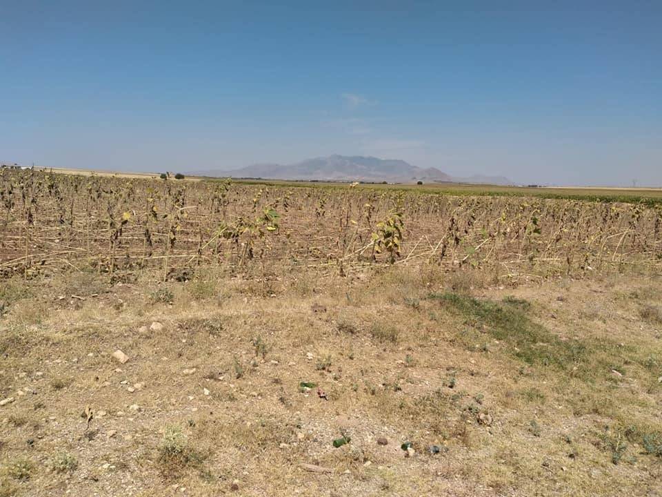 Merkez Karaman Köyü Resimleri 3