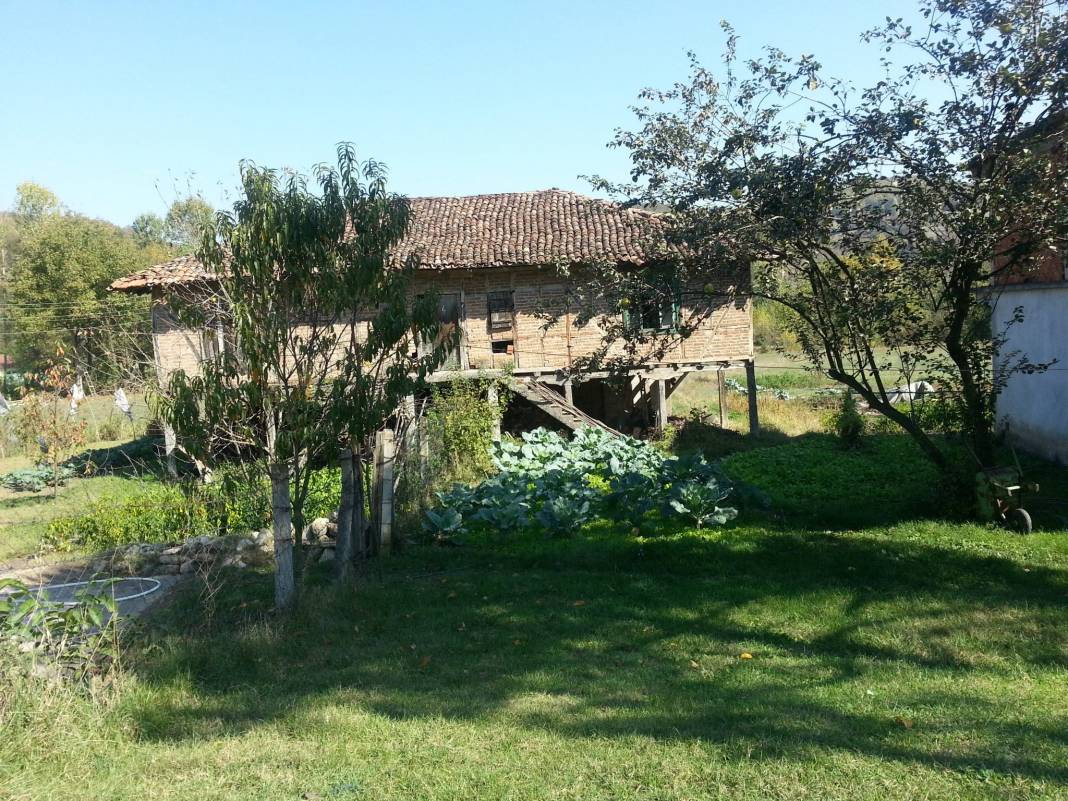 Merkez Eceler Köyü Resimleri 3