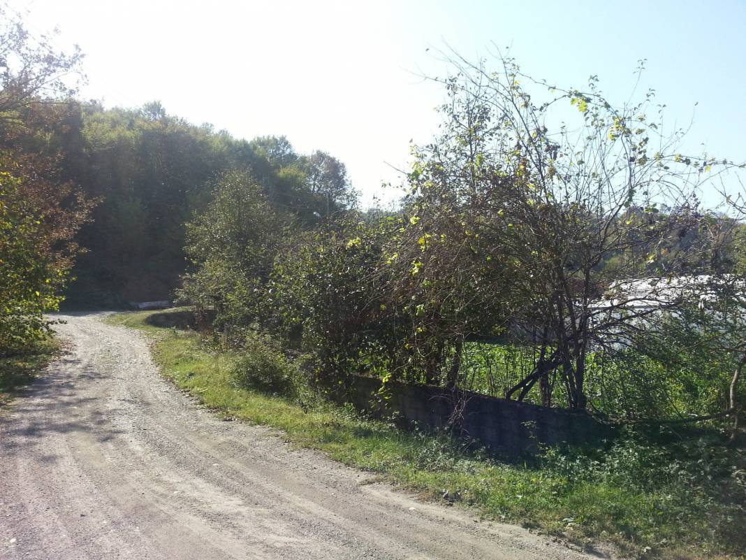 Merkez Eceler Köyü Resimleri 4