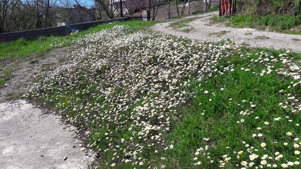 Merkez Kumtarla Köyü Resimleri 1