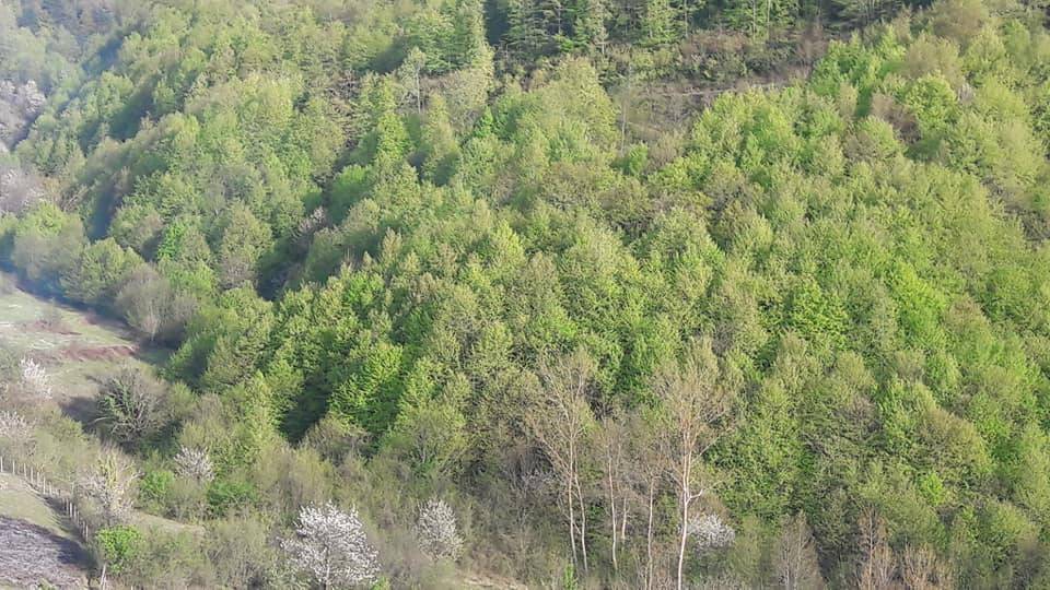 Merkez Kumtarla Köyü Resimleri 2