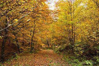 Merkez Olukyanı Köyü Resimleri 1
