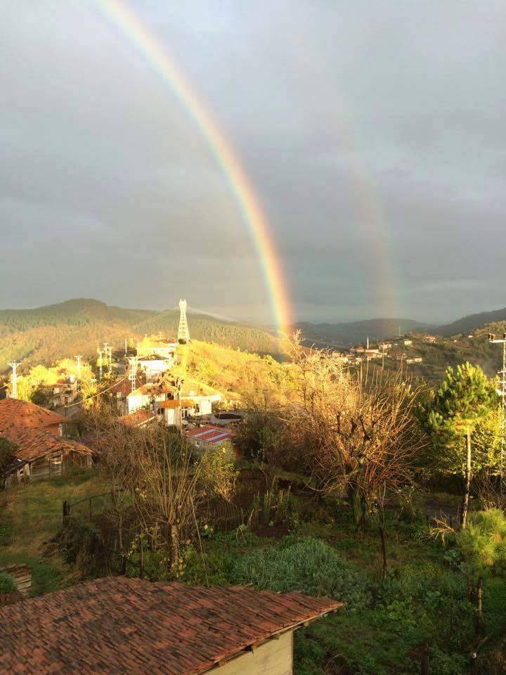 Merkez Olukyanı Köyü Resimleri 4