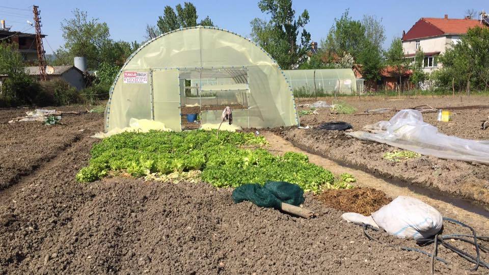 Gökçebey Gaziler Köyü Resimleri 1