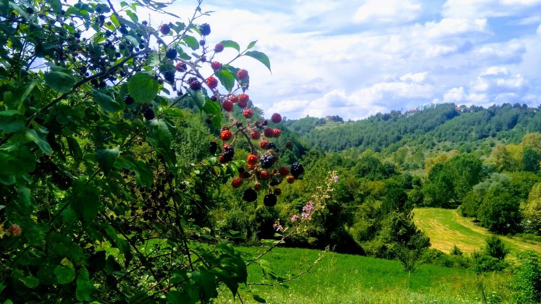 Gökçebey Gaziler Köyü Resimleri 2