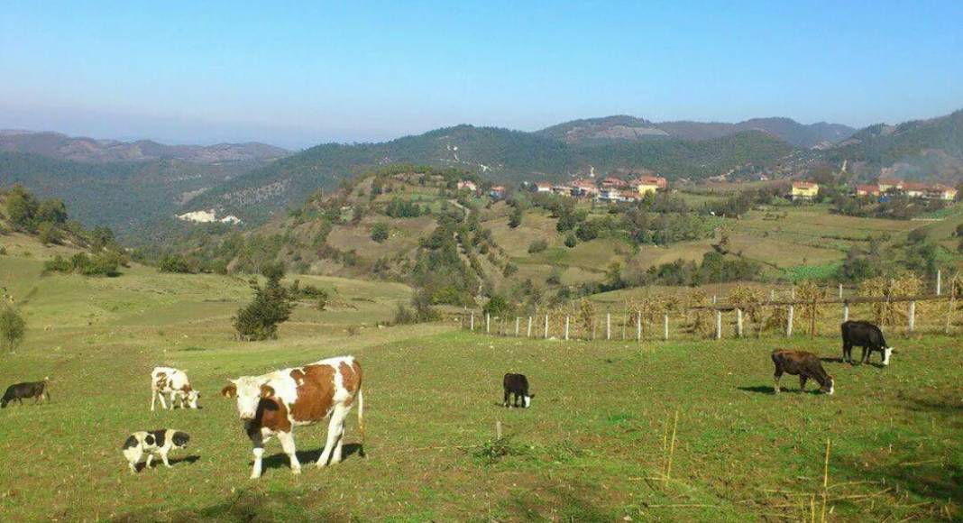 Gökçebey Namazgah Köyü Resimleri 2
