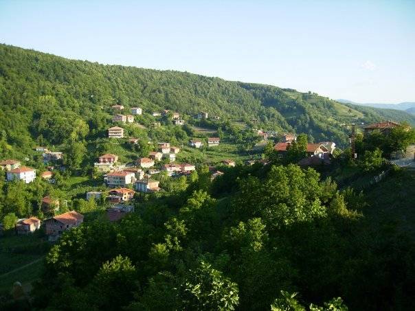 Gökçebey Pazarlıoğlu Köyü Resimleri 1