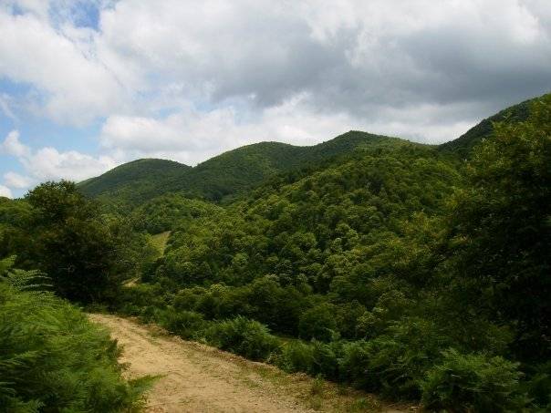 Gökçebey Pazarlıoğlu Köyü Resimleri 2