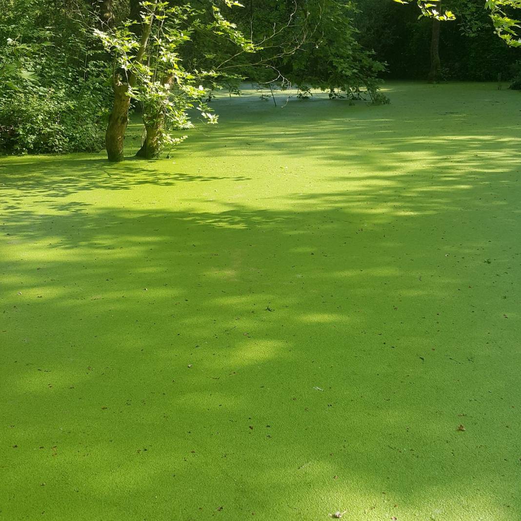 Gökçebey Uzunahmetler Köyü  Resimleri 1