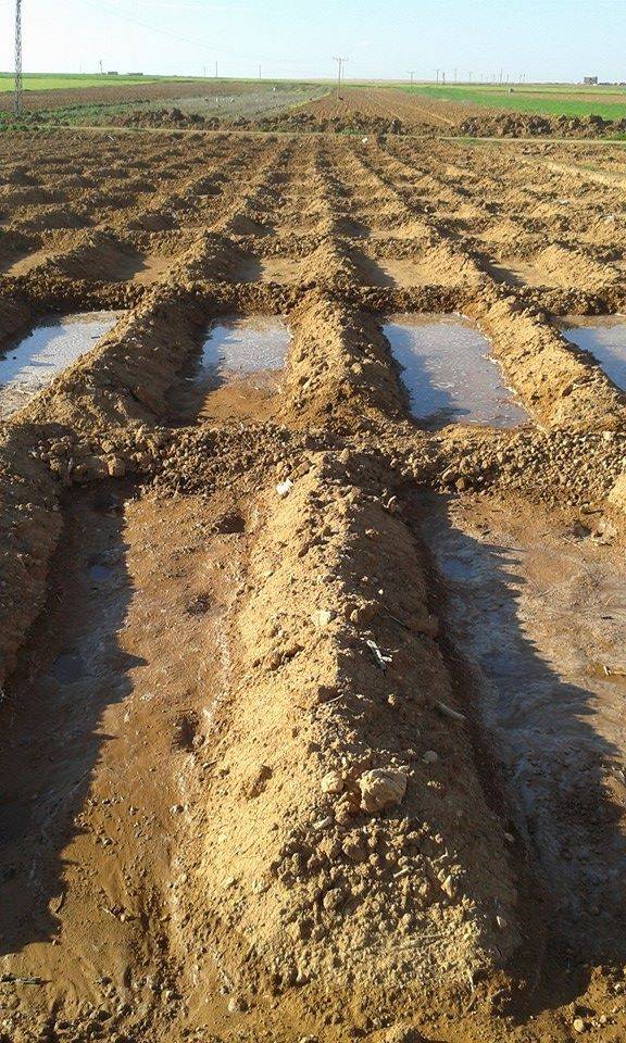 Akçakale Akdiken Köyü Resimleri 1