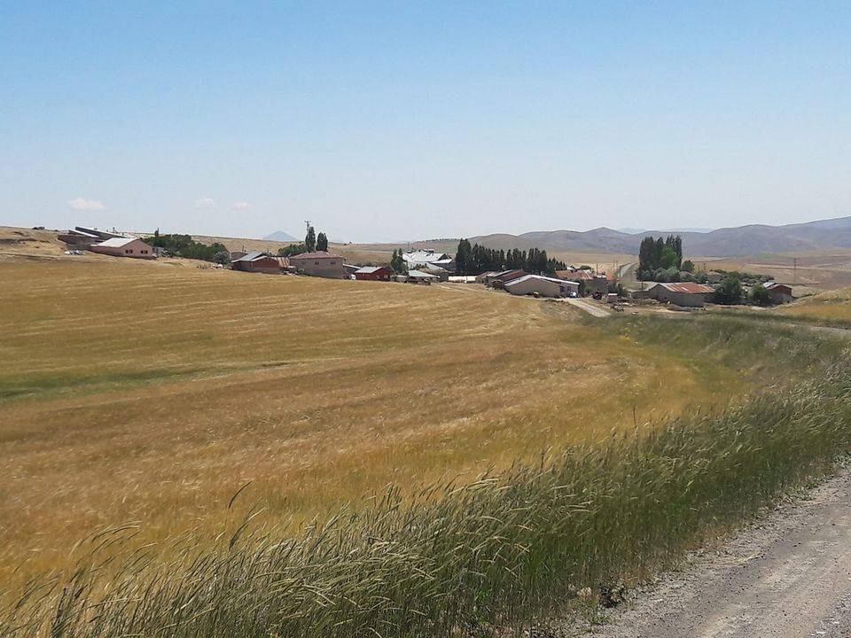 Akçakale Aşağıbeğdeş Köyü Resimleri 1