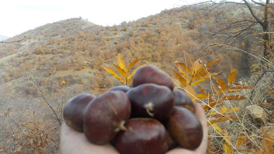 Kiraz Ahmetler Köyü Resimleri 4