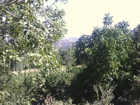 Kiraz Akpınar Köyü Resimleri 4