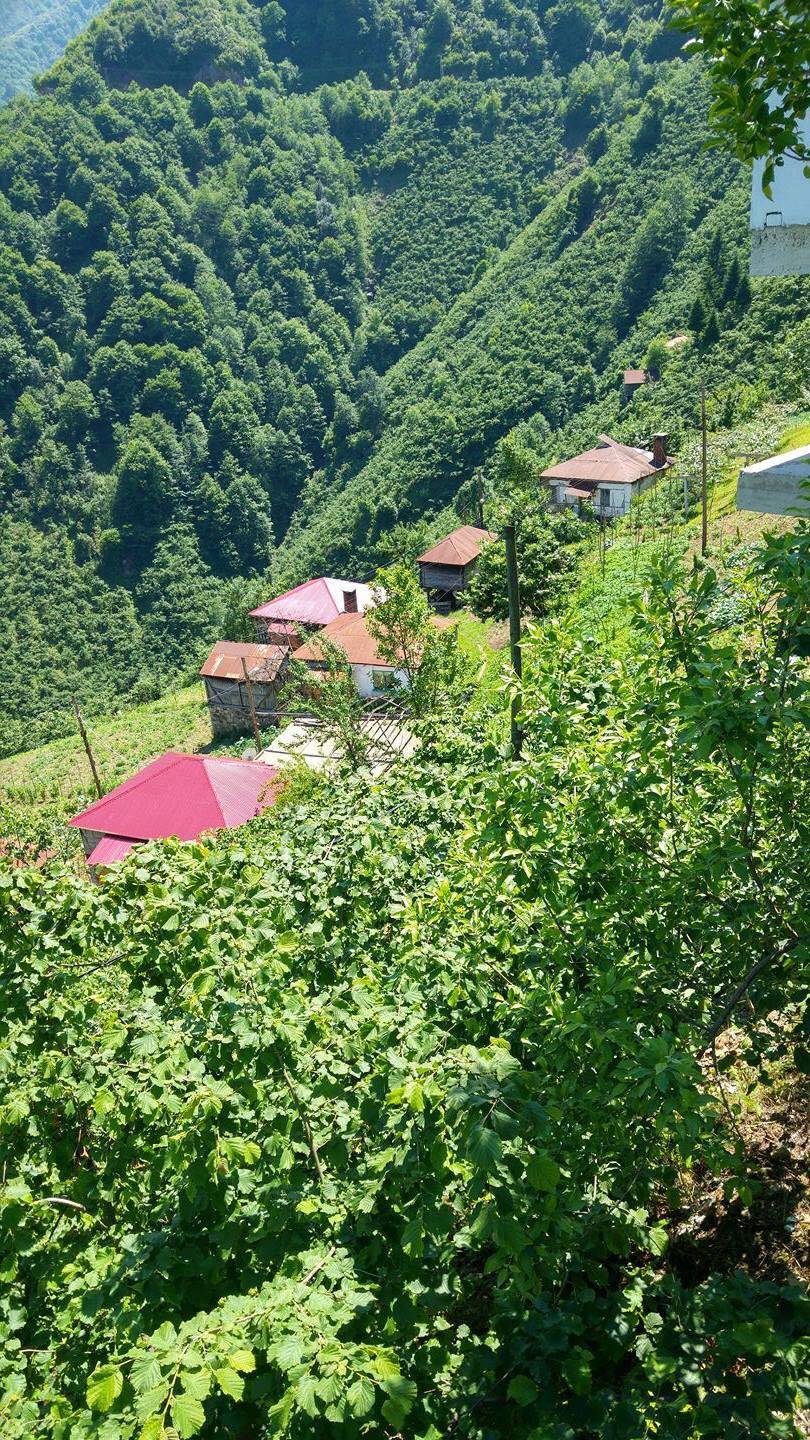 Kiraz Akpınar Köyü Resimleri 6