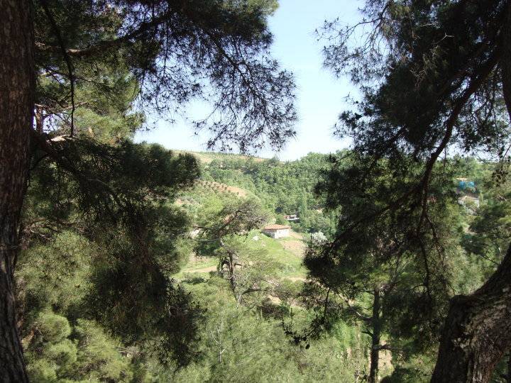 Kiraz Altınoluk Köyü Resimleri 3