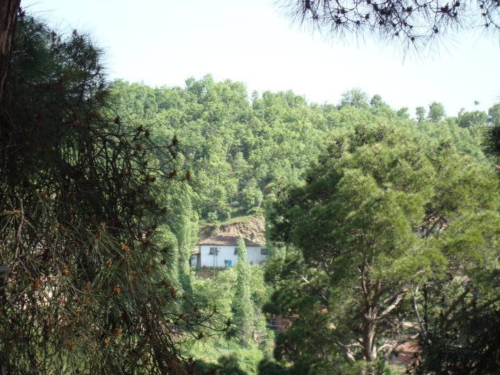 Kiraz Altınoluk Köyü Resimleri 4