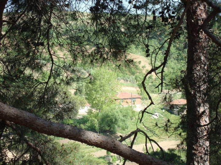 Kiraz Altınoluk Köyü Resimleri 5