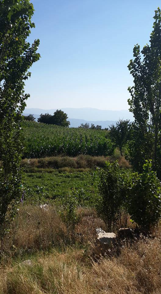 Kiraz Altınoluk Köyü Resimleri 8