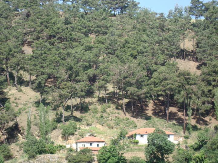 Kiraz Altınoluk Köyü Resimleri 9