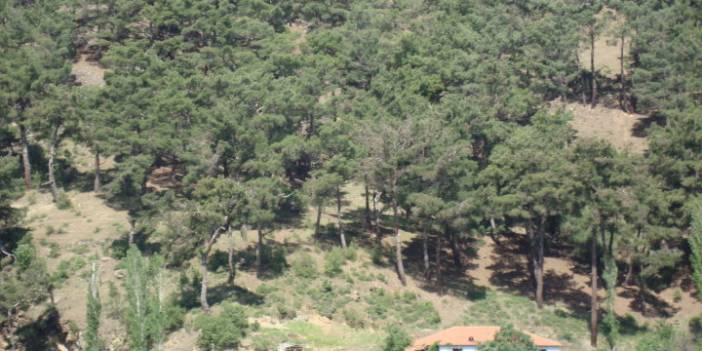 Kiraz Altınoluk Köyü Resimleri