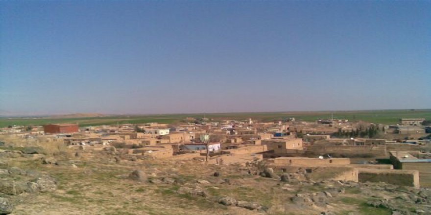 Kızıltepe Başak Köyü Resimleri