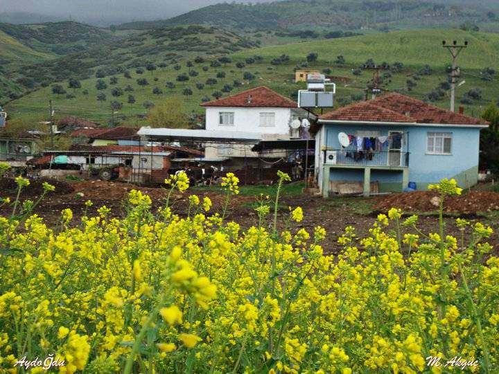 Kiraz Aydoğdu Köyü Resimleri 4