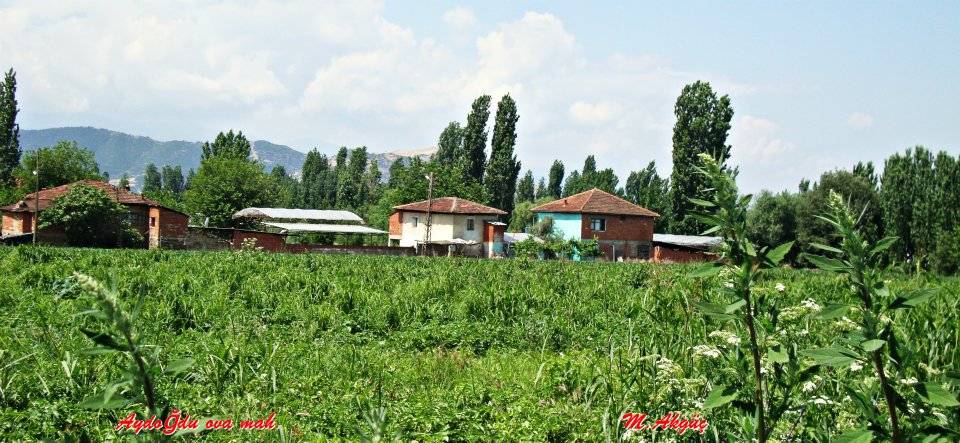 Kiraz Aydoğdu Köyü Resimleri 5