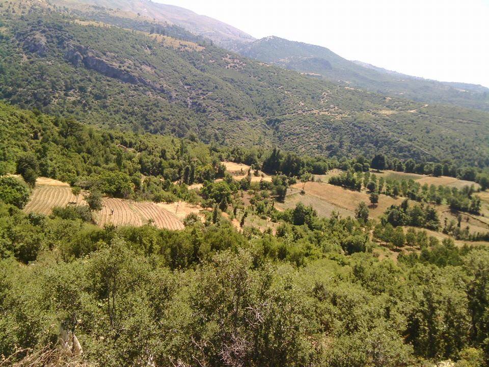 Kiraz Bahçearası Köyü Resimleri 1