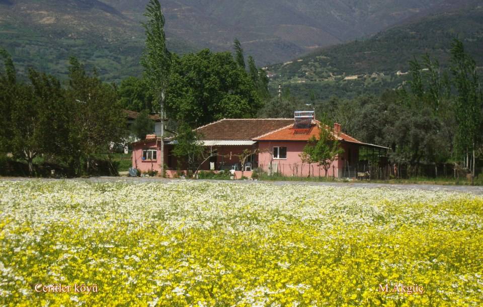 Kiraz Ceritler Köyü Resimleri 7