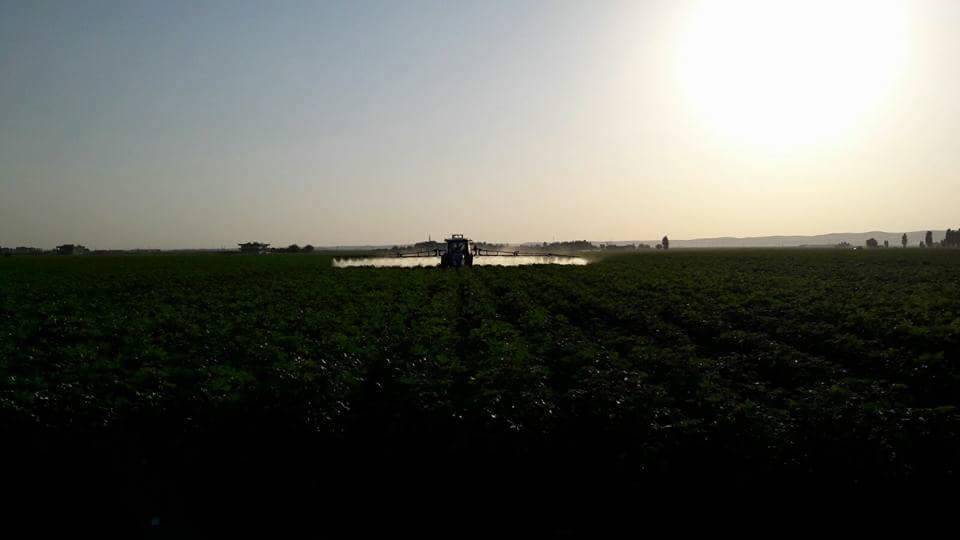 Akçakale Baykuş Köyü Resimleri 2