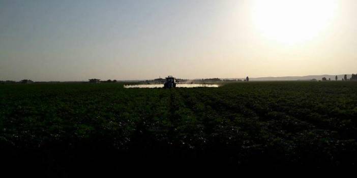 Akçakale Baykuş Köyü Resimleri