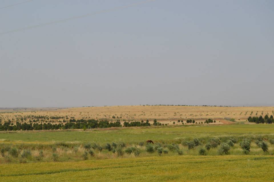 Akçakale Bilece Köyü Resimleri 1