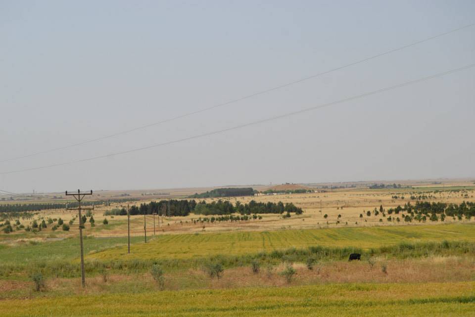 Akçakale Bilece Köyü Resimleri 2