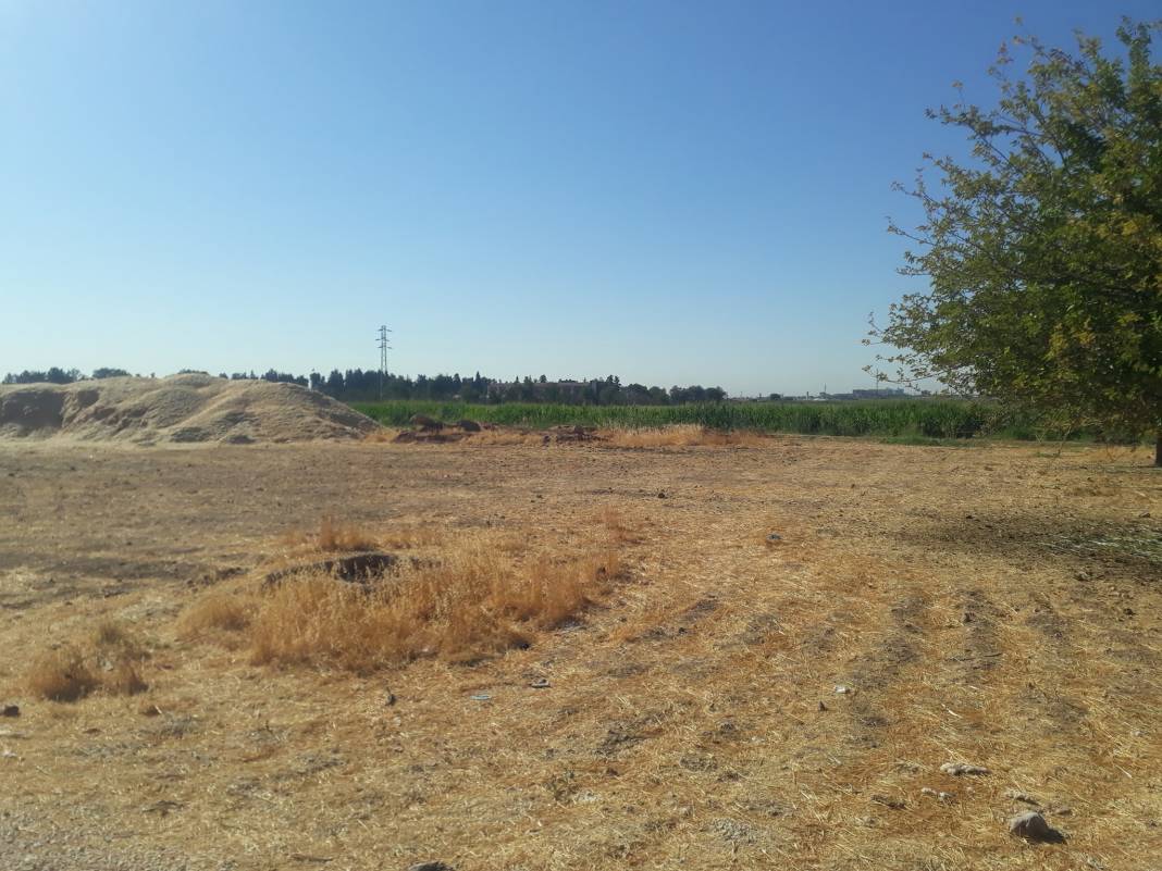 Akçakale Bolatlar Köyü Resimleri 1