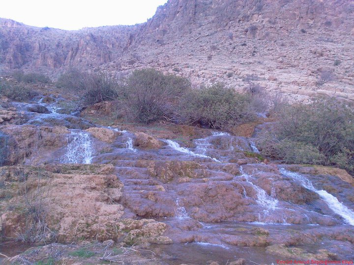 Kızıltepe Başdeğirmen Köyü Resimleri 1