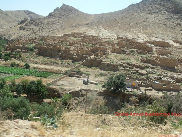 Kızıltepe Başdeğirmen Köyü Resimleri 3