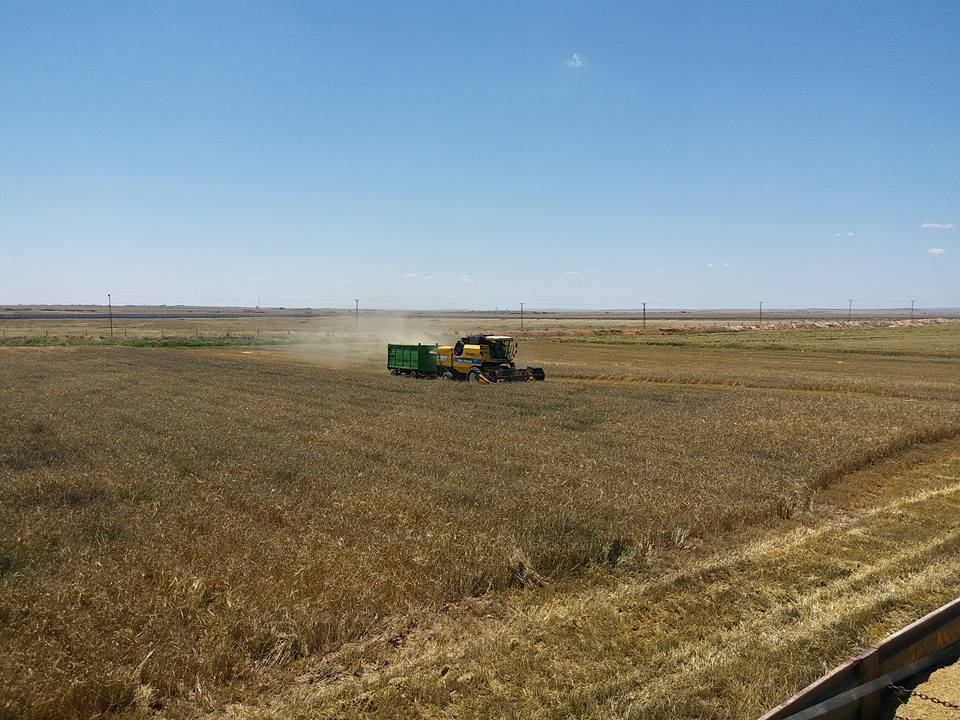 Akçakale Buket Köyü Resimleri 1