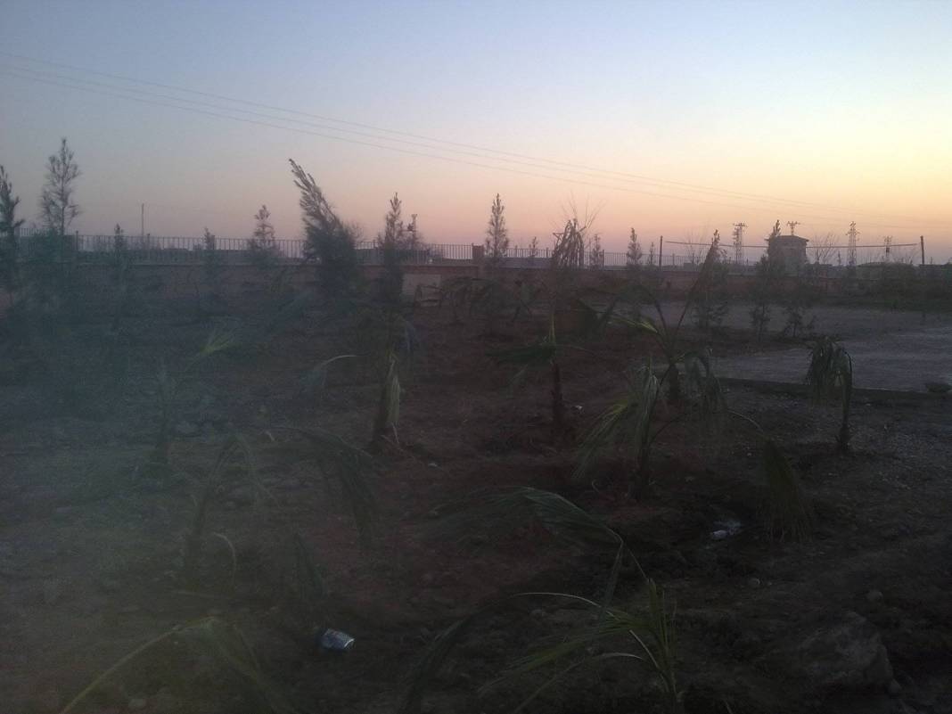 Akçakale Büyüktokaç Köyü Resimleri 3