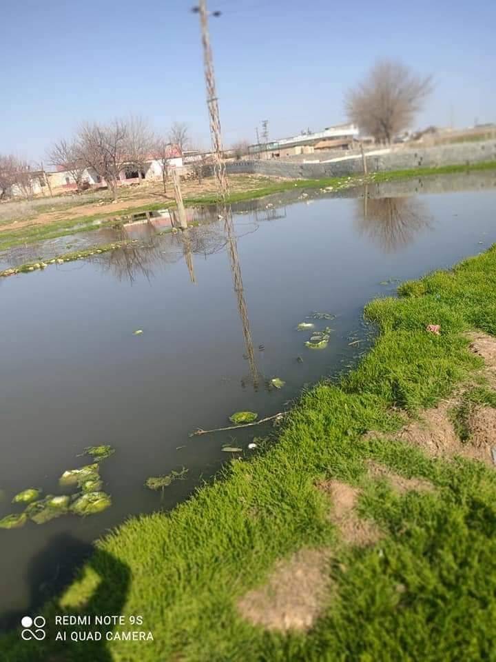 Akçakale Büyüktokaç Köyü Resimleri 5