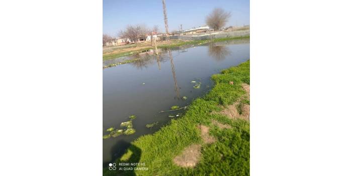 Akçakale Büyüktokaç Köyü Resimleri