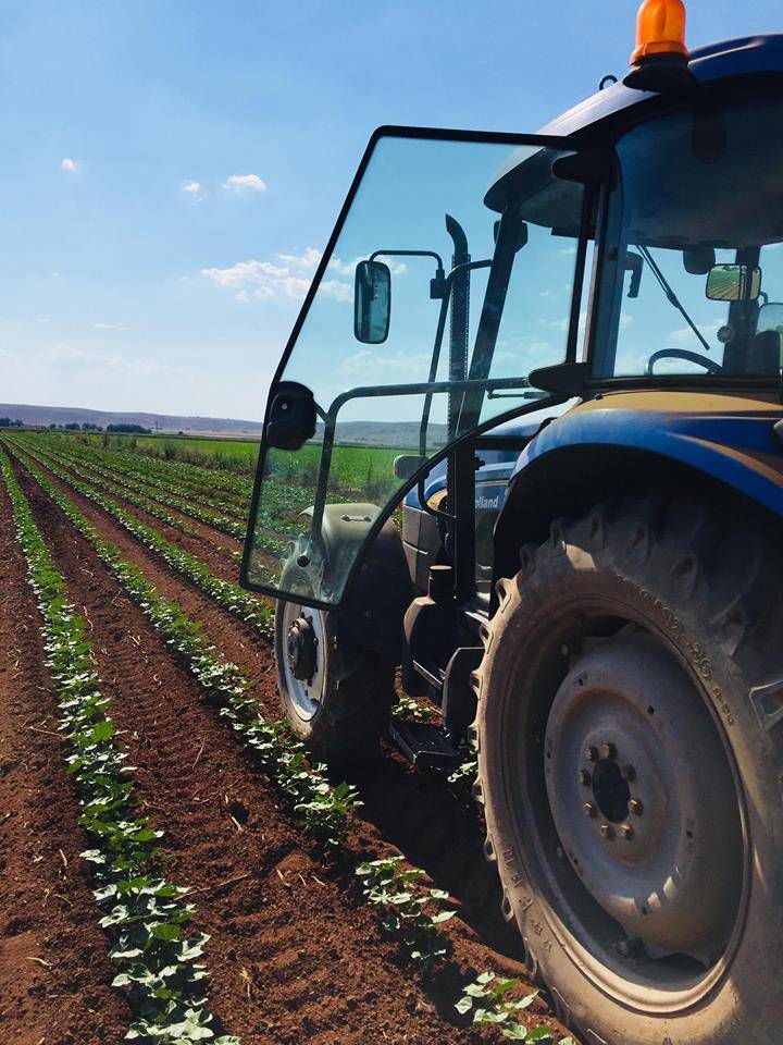 Akçakale Dibek Köyü Resimleri 2