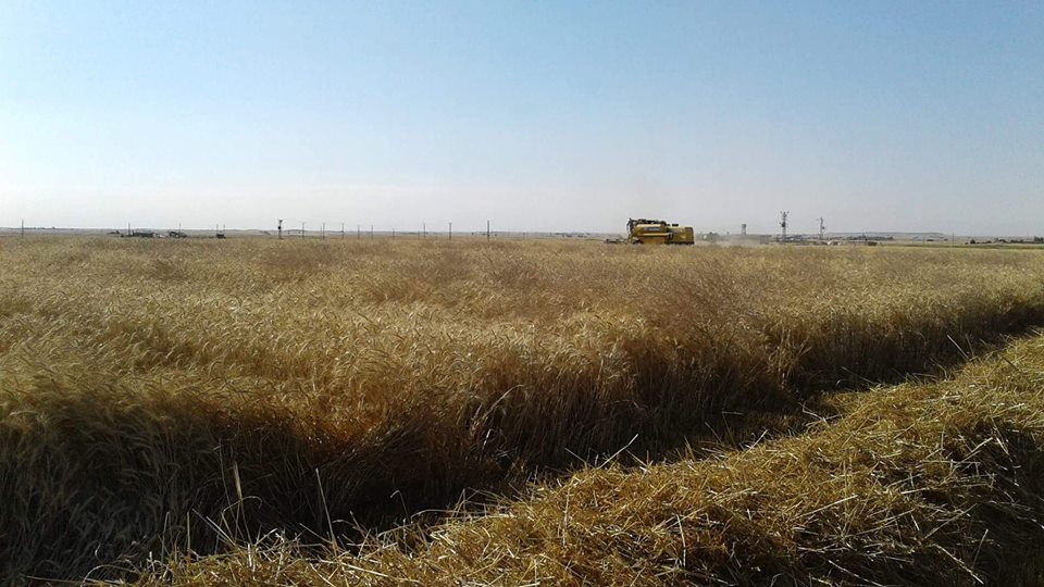 Kızıltepe Bektaş Köyü Resimleri 6