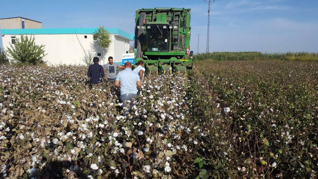 Akçakale Eke Köyü Resimleri 2