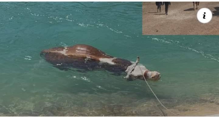 Akçakale Gündaş Köyü Resimleri 4
