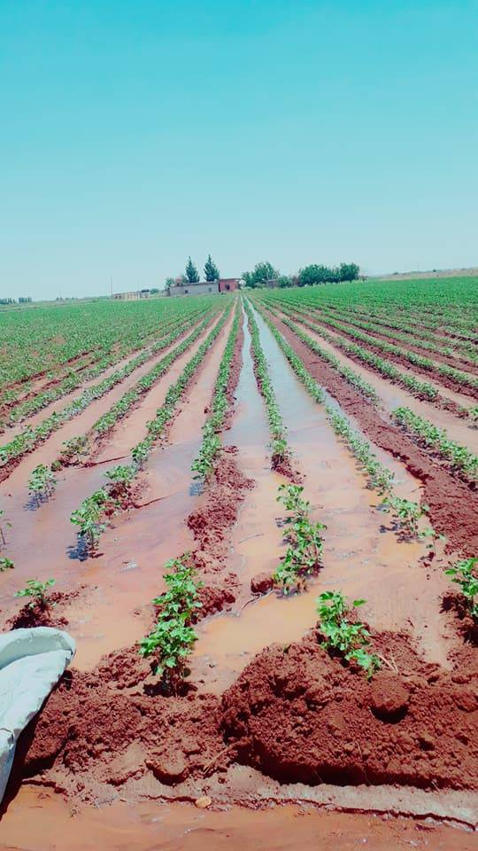 Akçakale Karatepe Köyü Resimleri 1