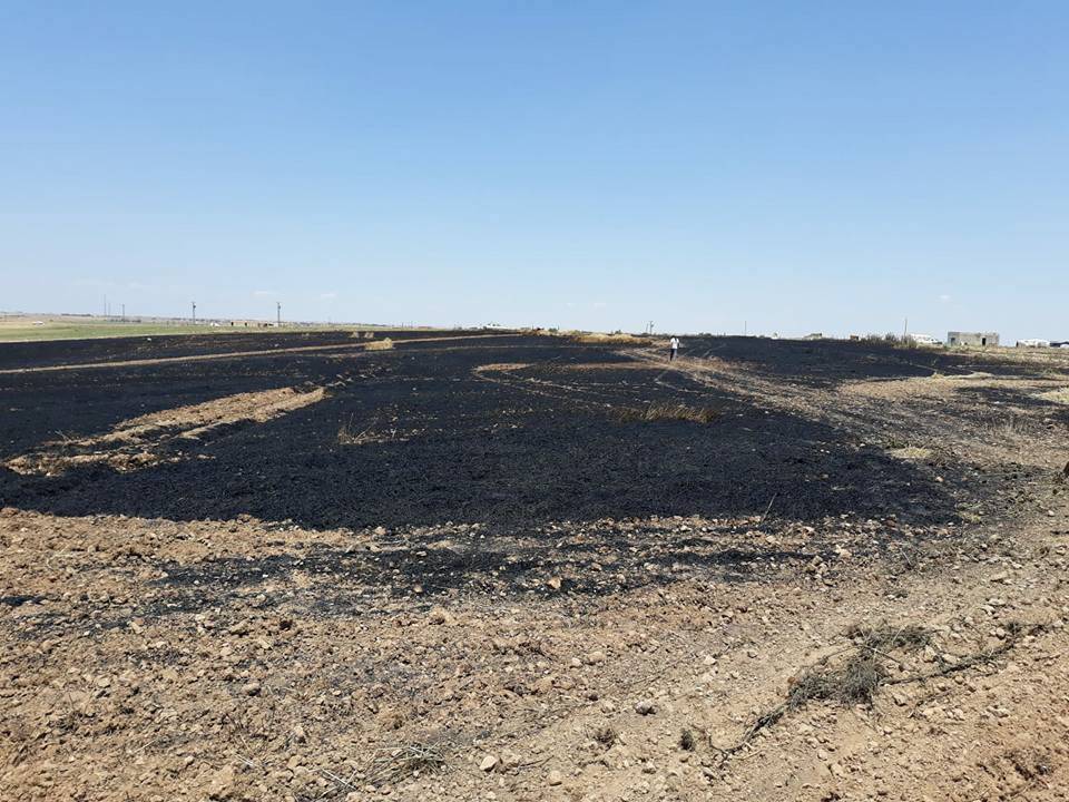 Akçakale Kepezli Köyü Resimleri 3