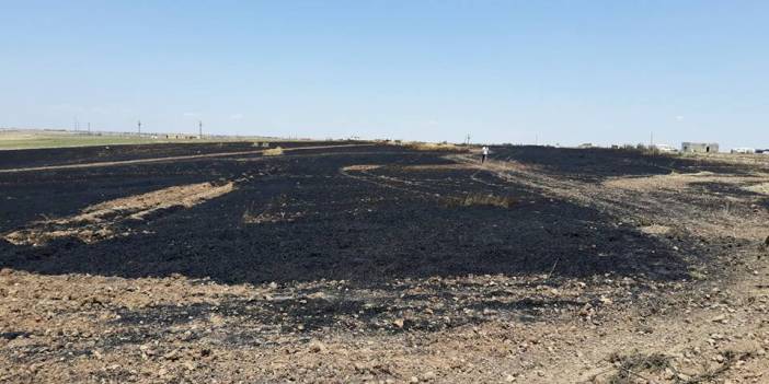 Akçakale Kepezli Köyü Resimleri