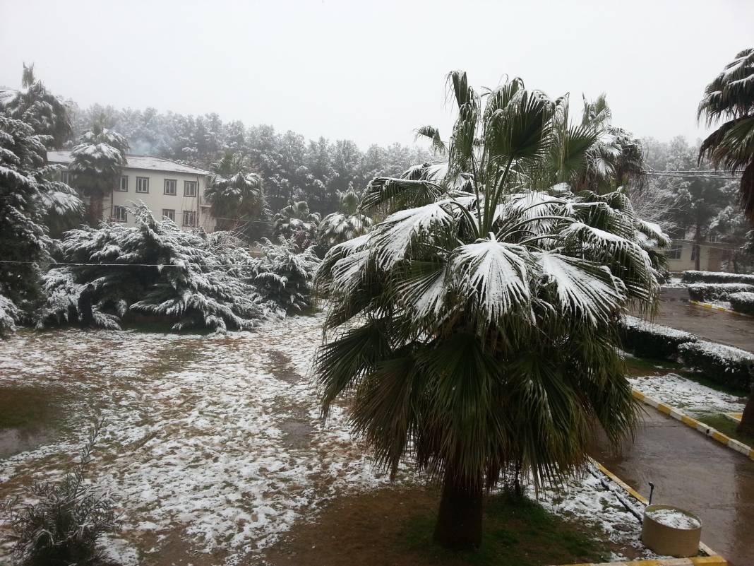 Akçakale Koruklu  Köyü Resimleri 1